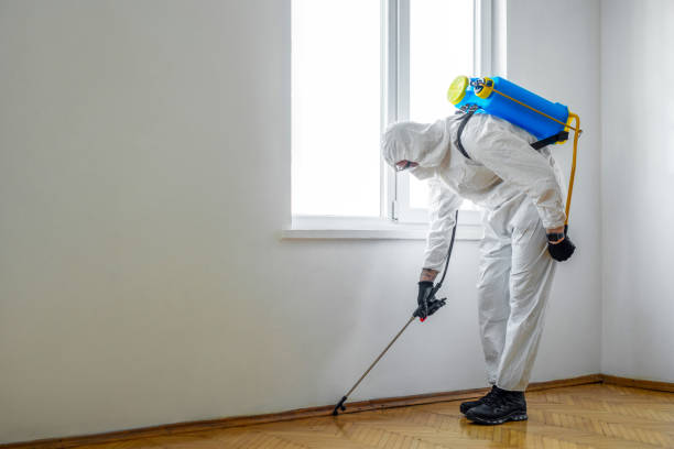 Best Affordable Pest Control Services  in Atwood, KS