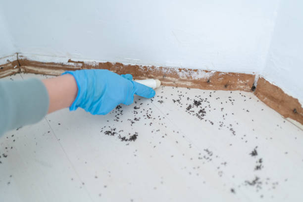 Best Cockroach Control Services  in Atwood, KS